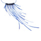 Ara Feather Necklace